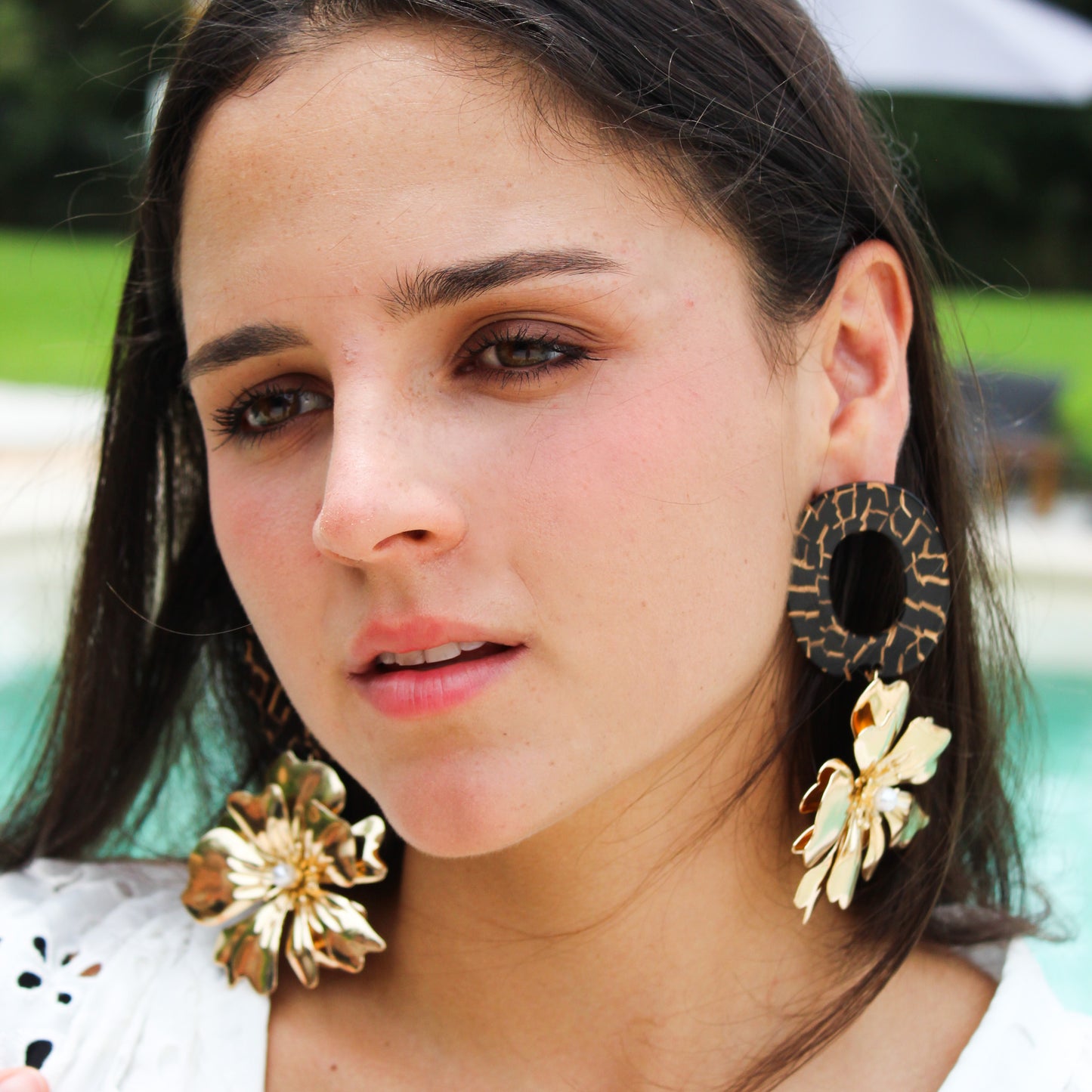 Aretes MS fall